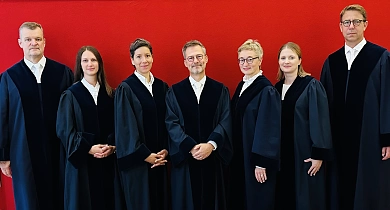 Richter Staatsgerichtshof